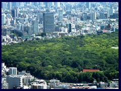 Yoyogi Park